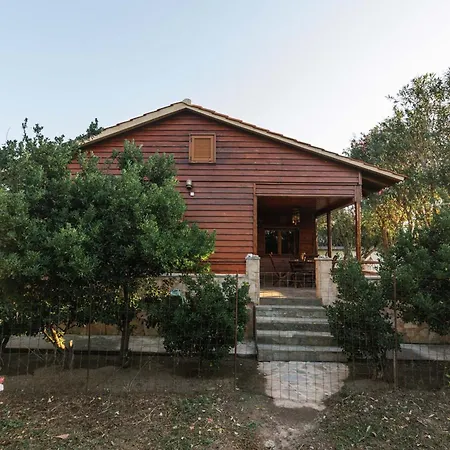 Wooden House *