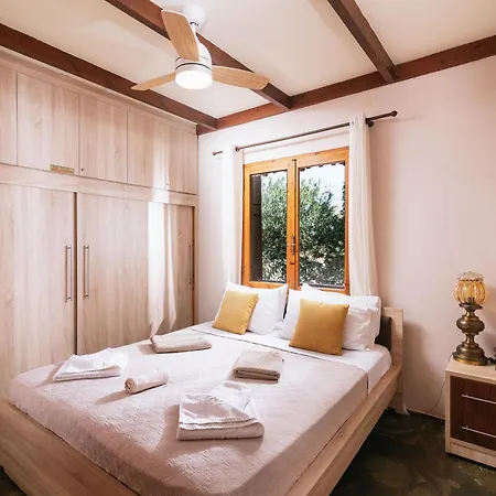 Wooden House