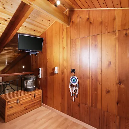 Wooden House *