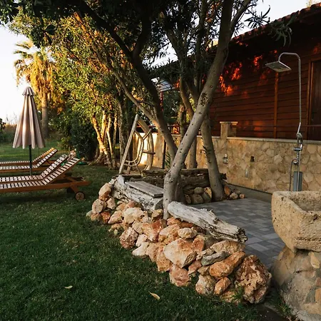 Vakantiehuis Wooden House *